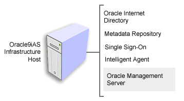 Text description of infhost.gif follows.