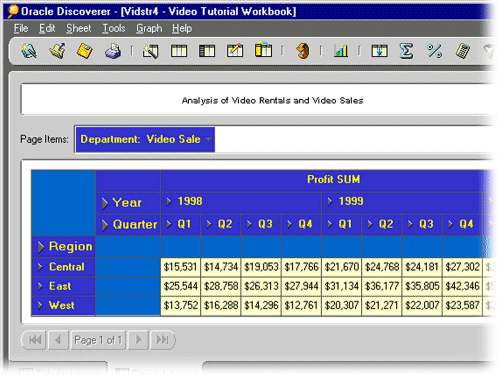 Discoverer Plus Report