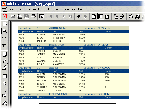 A PDF Report
