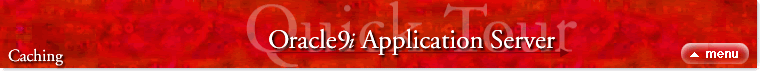 Oracle9i Application Server - Caching