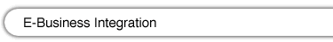 E-Business Integration