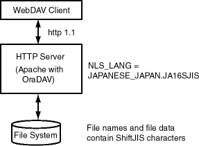 Text description of nlsfile.gif follows.