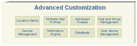 Text description of advcust2.gif follows.