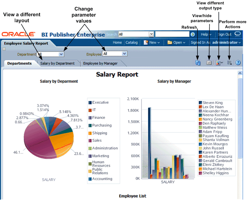 Report viewer