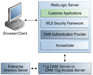 OAM Authentication for Web and non-Web Resources