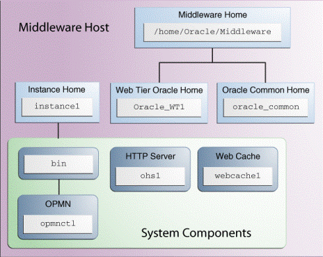 Description of Figure 1-1 follows