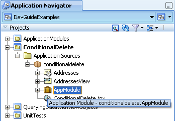 Selected AM in Application Navigator