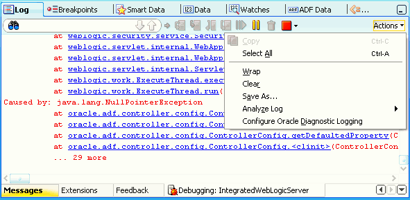 Log window with toolbar