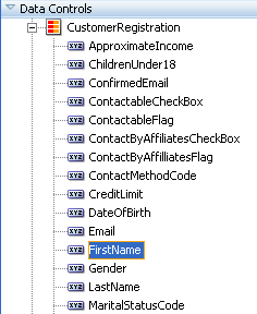 Attributes for CustomerRegistration