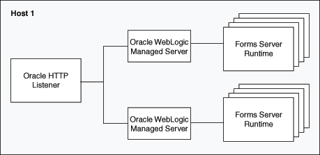 Multiple OC4J instances and HTTP listener on the same host.