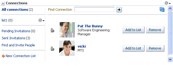 Connections task flow