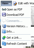 Document Viewer: View Menu