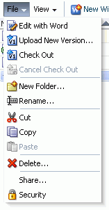 File Menu