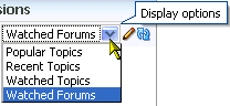 Display Options menu