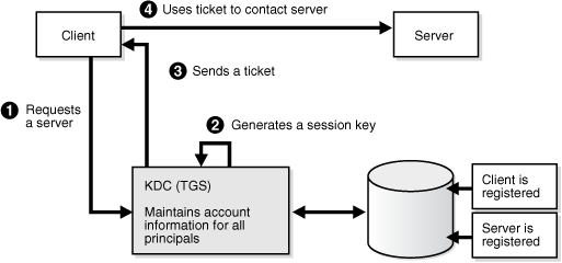 Description of Figure 31-27 follows