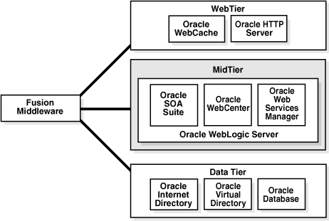 Surrounding text describes Figure 1-1 .