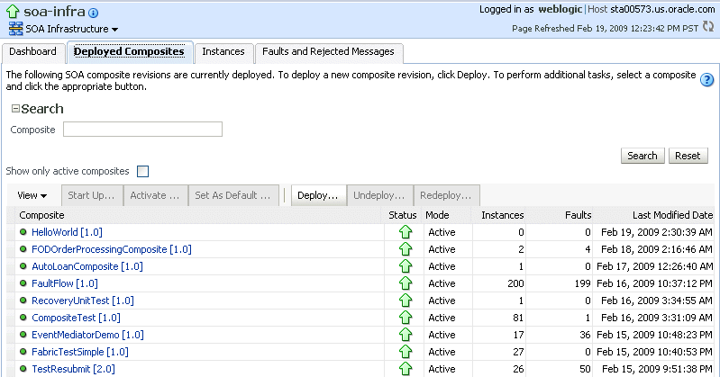 Oracle Enterprise Manager Fusion Middleware Control Console