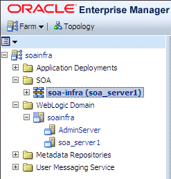 soa infra node