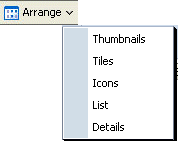 Popup menu with display type for a set of files.