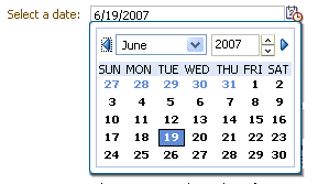 Input Date component