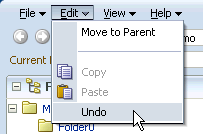 Undo shows first time Edit menu is accessed
