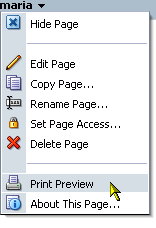 Print Preview option on a page actions menu