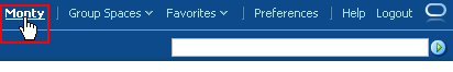 User name link at top of application