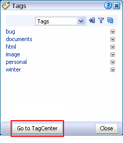Open main view icon in Tags header