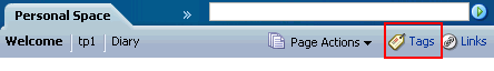 Page's Tags icon and link
