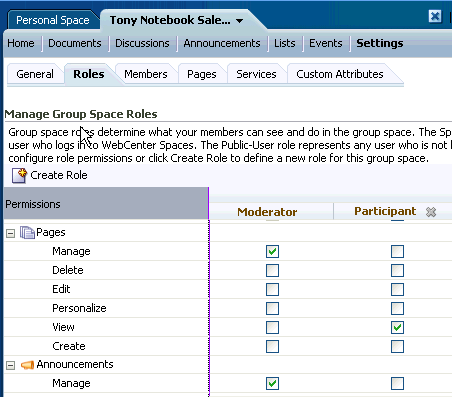 Group space Participant role