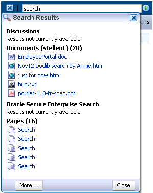 Search results window