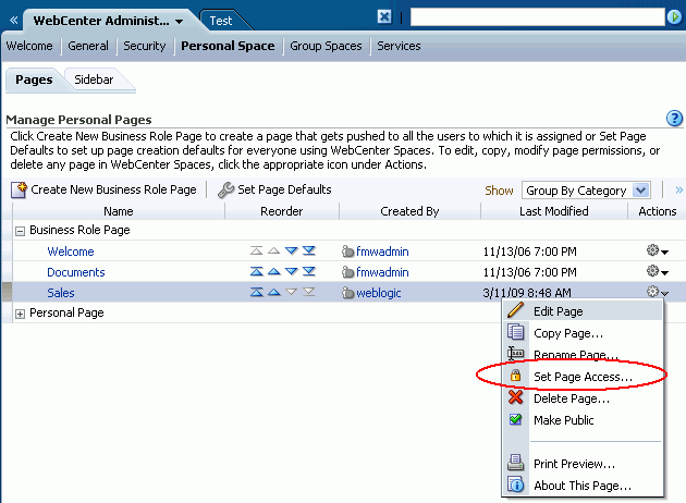 Setting Access Permissions for a Business Role Pages