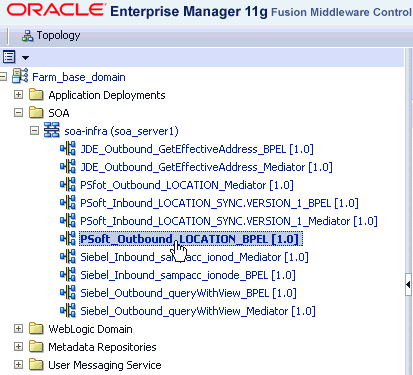 Oracle Enterprise Manager console