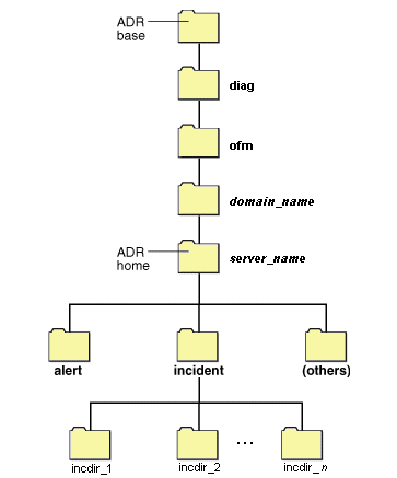 Description of Figure 12-1 follows