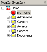 Site Hierarchy pane