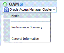 OAM Cluster Menu