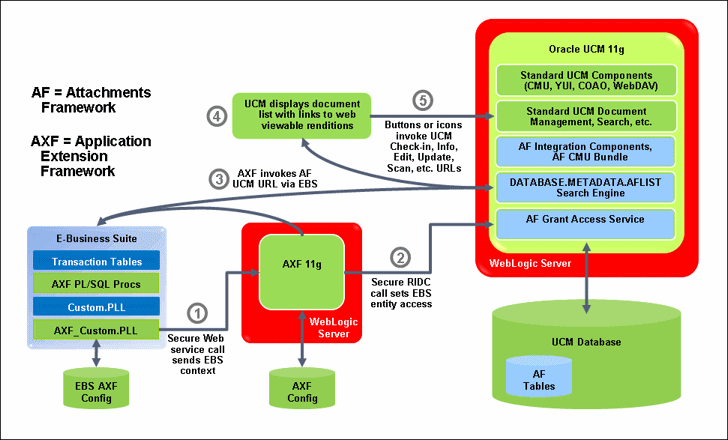 This graphic is discussed in surrounding text.