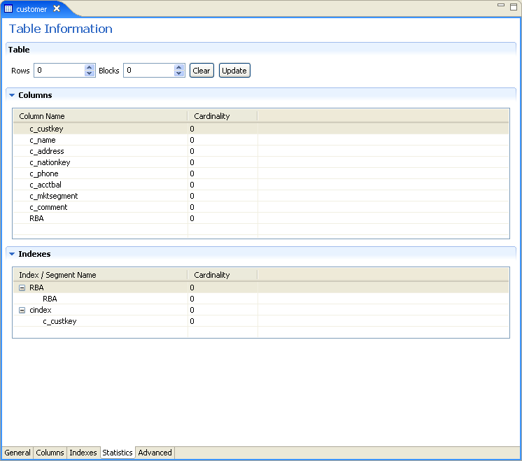 The data source metadata Statistics tab.