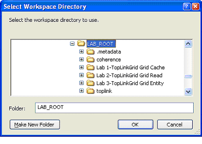 The Select Workspace Directory dialog.