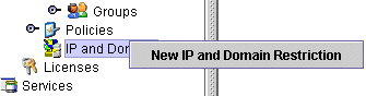 New IP and Domain Restriction option.