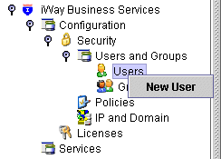 User's node selected with New User option available.