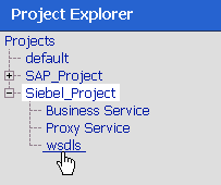 WSDL folder