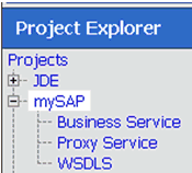 expanded mySAP project folder
