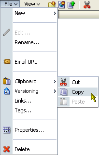 Copy command on the File menu