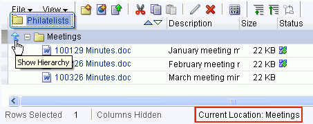 Subfolder displayed as a top-level folder