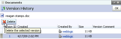 Delete button on the Version History screen