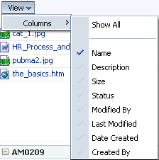 View menu on the Document List Viewer task flow