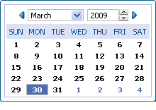 Date picker