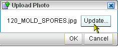 Update button in an Upload Photo dialog