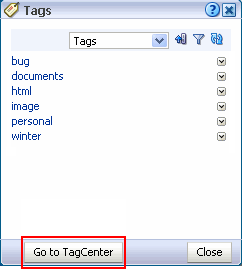 Open main view icon in Tags header
